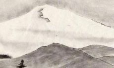 翻盘大有可为：揭秘93年生男鸡2022年宏图大展的运势前景