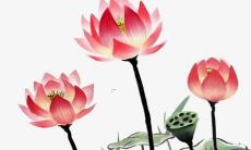 惊艳耳朵的超吸睛剑名字盘点，不容错过！