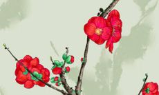 2022年虎年蛇的命运运势如何？