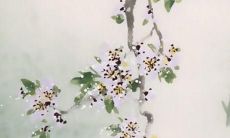 从72年冬月的鼠到2022年每月运势：探索鼠年出生之人在接下来的一年里的吉凶变化