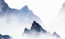 2005年出生的属鸡人在2022年的运势和运程怎么样？