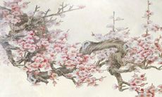 的命运和经历：回首1986年出生的属虎女的生活路程和成长轨迹