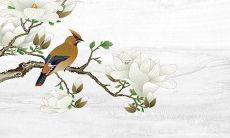 探究属猪人在虎年上半年的运势：解读2022年上半年属猪人的吉凶变化及运势趋势