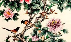 95年出生的猪女孩2022年的运势如何？