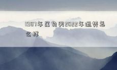 一位出生于1987年的属兔男性，他在2022年的运势如何呢？