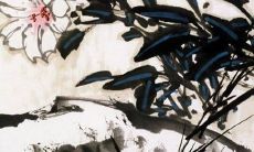 2022年属虎人宜戴何种首饰？金子讲究详解，为您揭秘本命年幸福祥瑞之门！