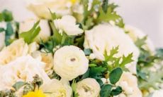 十二星座在与愚蠢的老板相处时是否会产生激烈的冲突和争吵？