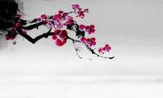 2021下半年，正值属鼠人的天命大展，运势大崛起！