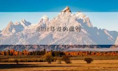 探寻2022年大地龙年诸多丰盛运势与发展趋势