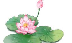 2022年上半年52岁的属狗男——如何预测其命运和运势？