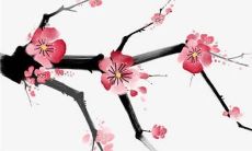 探寻十二生肖在2022年的运势状况：详细解析2022年生肖运势图