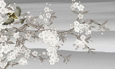 六十岁鼠男即将迎来2022年，查看他的全面运势预测！