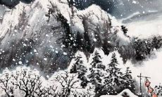 2022属马人的全面运势与财富前景以及1978年的多方面发展状况如何？