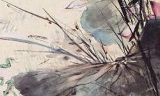 预测：降临2022年，诞生于1976年的具有龙女身份的人的运势