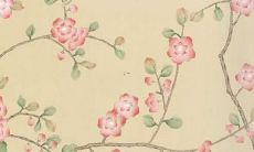 2022年属于生肖属虎的1998年出生男性的全年运势预测