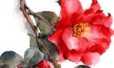 年：关于2022年六月份天蝎座的运势预测和建议