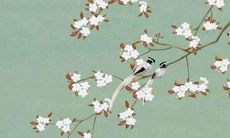 如何消弭命犯太岁所带来的不祥之兆？