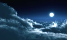 在动物界中，猴猪配对是否有利于婚姻关系？猪猴结合会对谁造成不良影响？