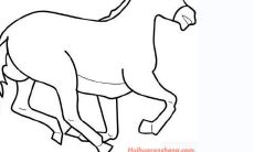 描述属马男在感情中的抉择方式和乐观心态