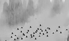 如何化解虎年犯太岁的厄运与不利影响？