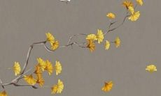 探究63年生肖为兔的男性在2022年的运势与变化趋势