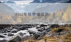 2022年生肖羊猴的全面运势预测：健康、财运、事业、爱情、家庭的详细分析！