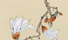 2022年属虎人的本命年即将到来！预示着三桩好事将降临：快乐与繁荣、健康和幸福、与爱人相伴的美好时光。如果您是属虎人，那么就准备好迎接这些美好的变化吧！