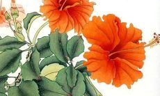 2022年属猴人犯太岁的化解时间是什么时候？