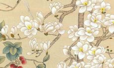 2022年天秤座运势迎来详尽解析，让你掌握全年先机