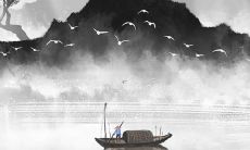 2022年如何发展：以86年属虎女为例，探索命运走向与未来发展前景