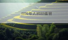 探寻1996年出生者的2022年运势：预测未来的发展方向、面临的挑战和涌现的机遇！