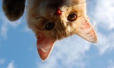 抬头纹生来即显，可能意味着什么？男性抬头纹愈深命运是否能更好？