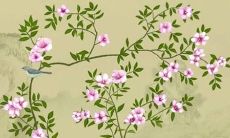 作为属虎人，生育属虎孩子可行吗？虎爸爸想生一个虎宝宝，你认为这是个好主意吗？