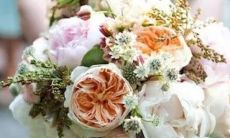 如何使用天文学知识、出生日期、出生时间和出生地点来查询星座命盘？