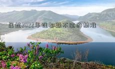 2022年无人能逃脱的必遭属蛇劫难: 福报尽失，背运接连，命运不可抗挡