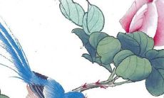 2022年12月属狗人的运势：死木重生之季，感情运如春天般绚烂！