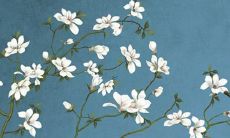 2022年属鼠人将迎来三大幸福时刻，包括爱情、事业与财富上的好运！