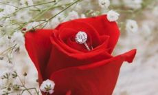 探讨中国传统十二地支与西方星座之间的奇妙联系和相互影响