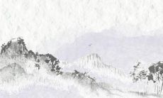 女孩名字大全，包含各种国家、文化、风格的起名灵感汇总！