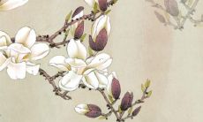 2022年生肖虎宝宝的全年运势预测