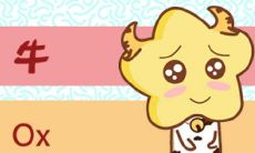 和属牛的人最配：调查发现鼠年生肖人与牛年生肖人的恋爱关系最长久受欢迎！