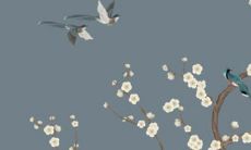 2022年62岁出生者的运势展望