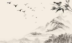 2022年属蛇人的财务状况和运势预测：会有哪些变化和挑战？