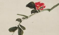 对属兔人的2022年运势进行深入解析，逐月预测运程的详细指南