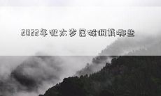 2022年犯太岁属猴佩戴哪些