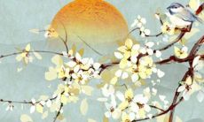 2022年犯太岁的正确化解方法