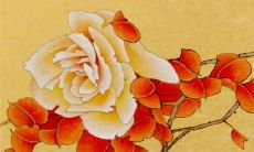 十二生肖猪2022年婚姻运势