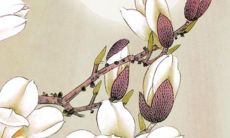 属猪虎年运势2022年有横财