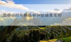 属羊2022年的运势和财运怎么样