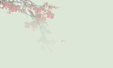 2022年319号天秤男运势